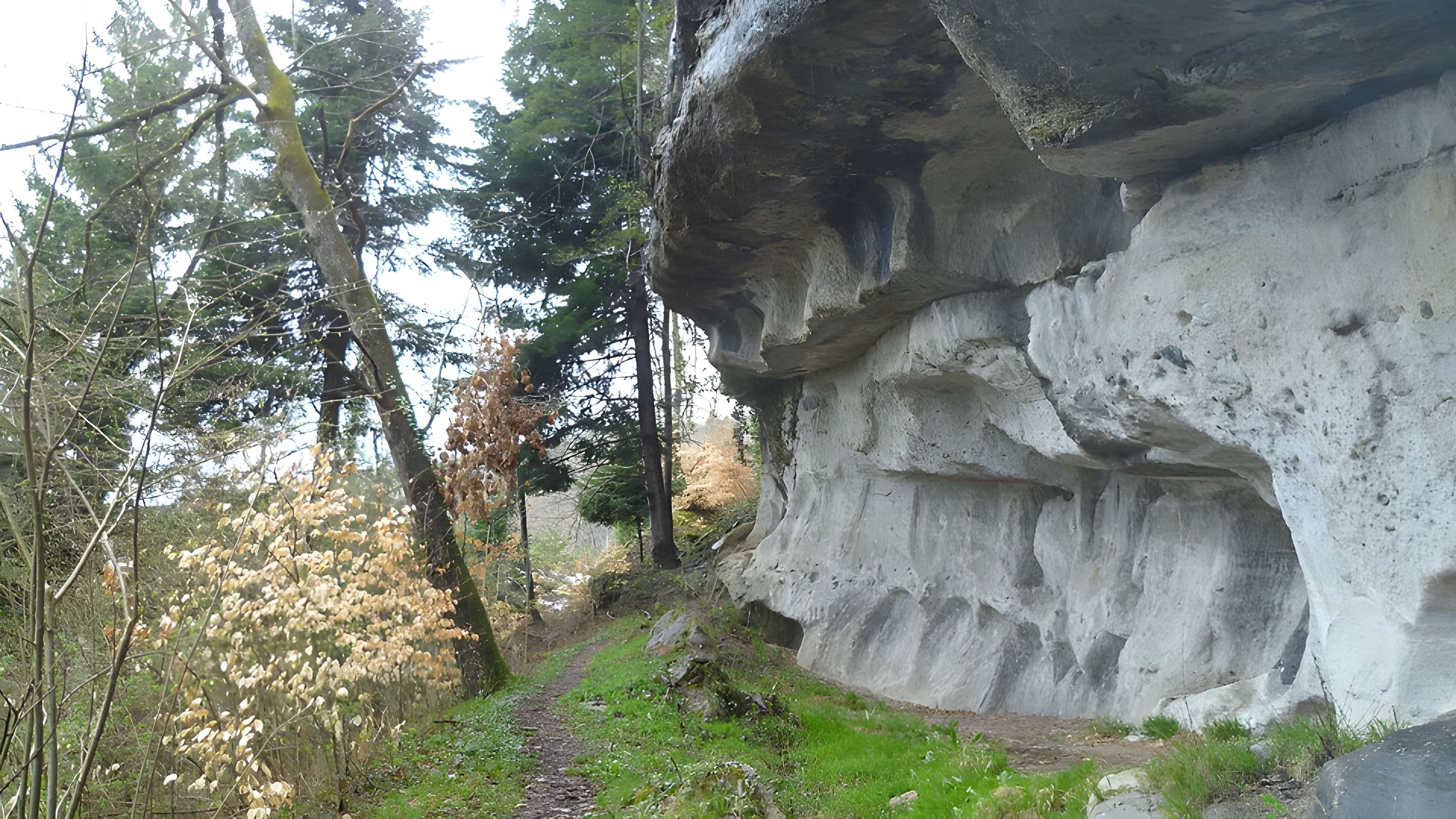 Meulières de Saint-André-de-Boëge
