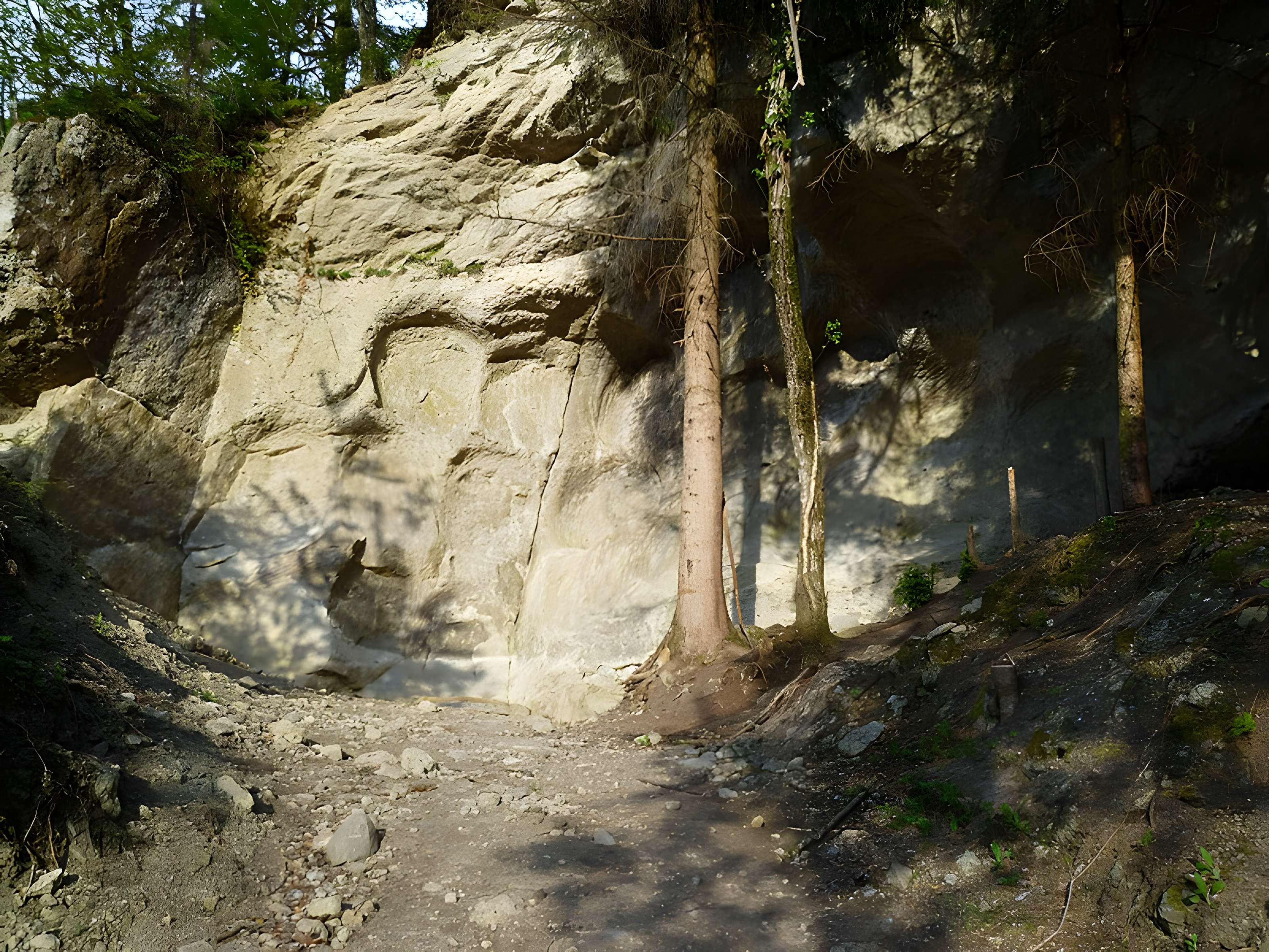 Carrières de meules de moulins ou meulières du Mont Vouan