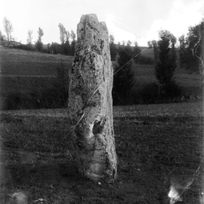 Photo de Menhir