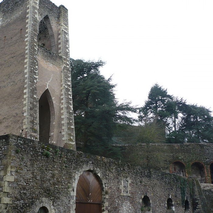 Photo de Mine de charbon de la Tranchée à Montjean-sur-Loire