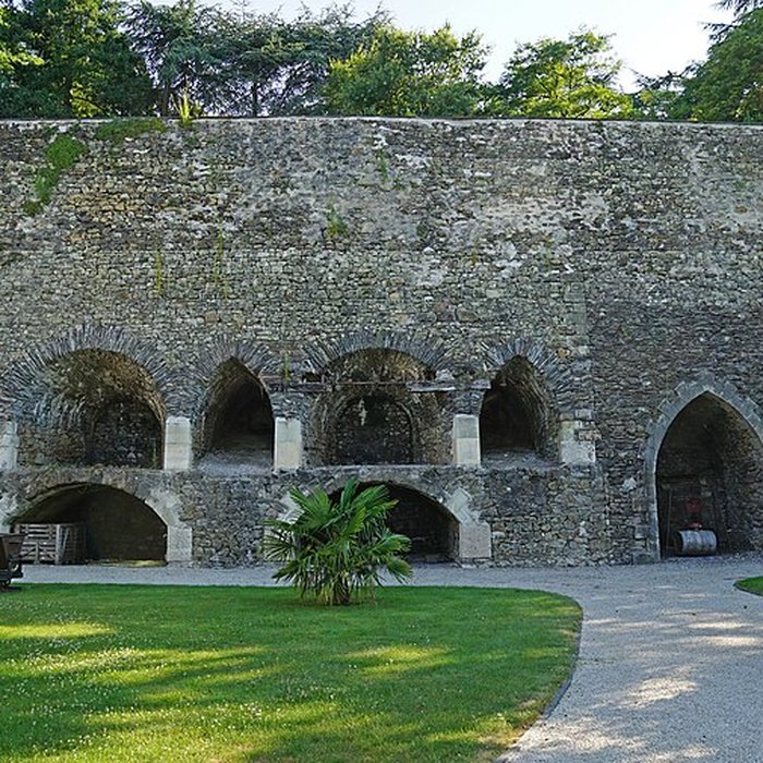 Photo de Mine de charbon de la Tranchée à Montjean-sur-Loire