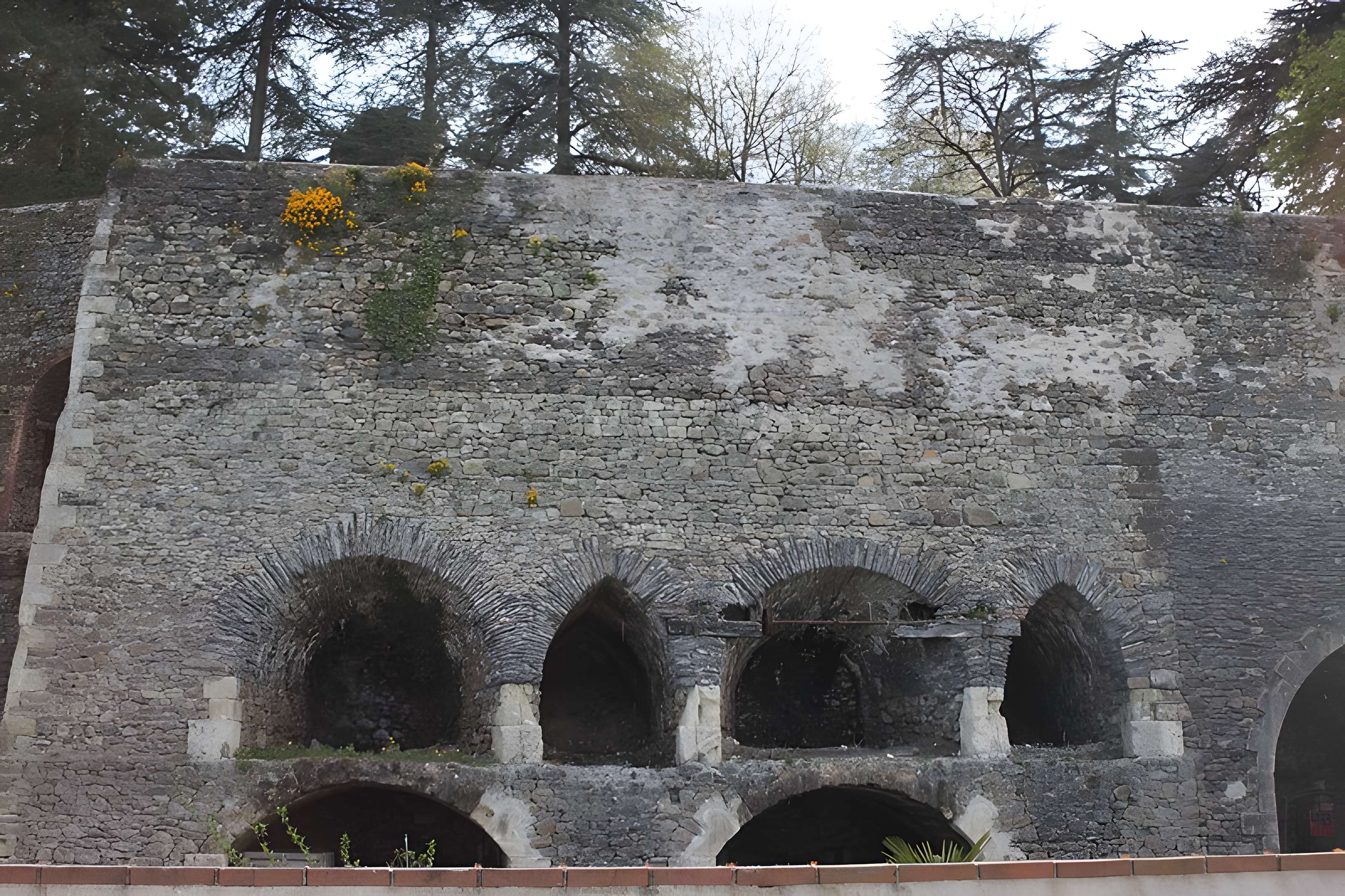 Mine de charbon de la Tranchée à Montjean-sur-Loire