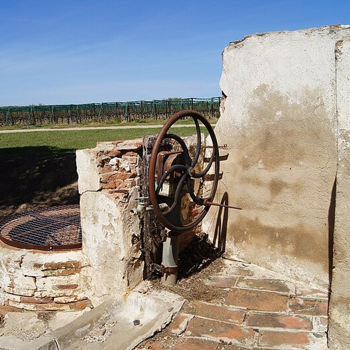 Photo de Monastir del Camp