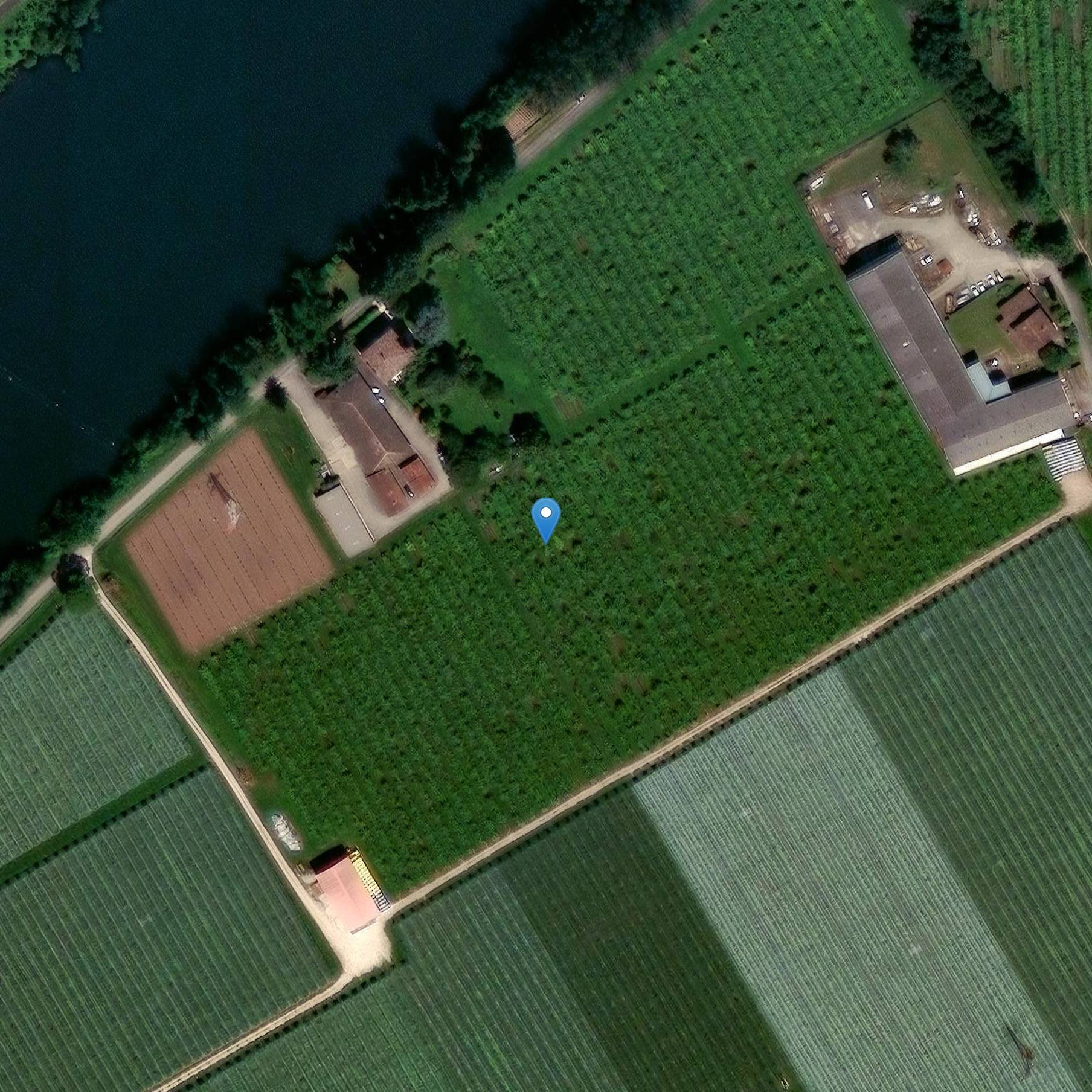 Photo de Hipódromo de Castenet