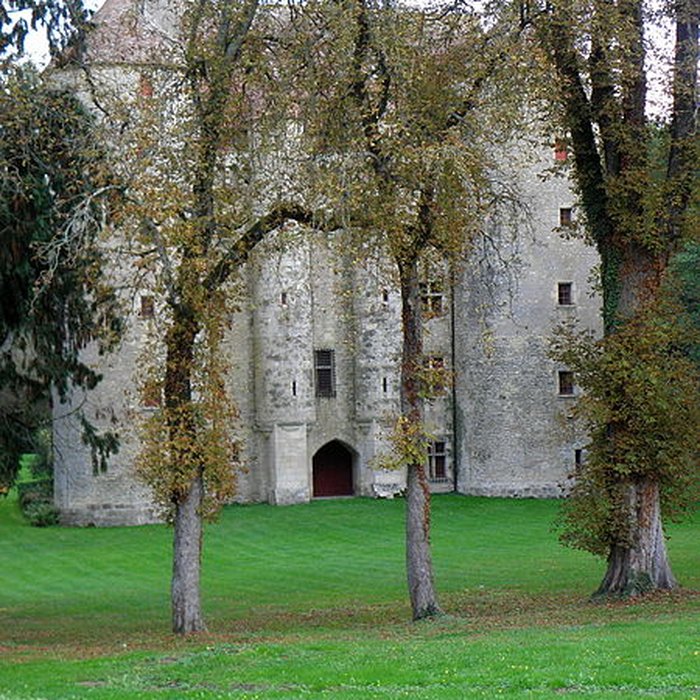 Photo de Château de Chevenon