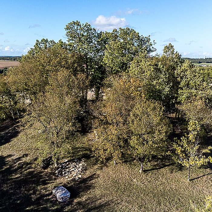 Photo de Motte de la Jacquille à Fontenille