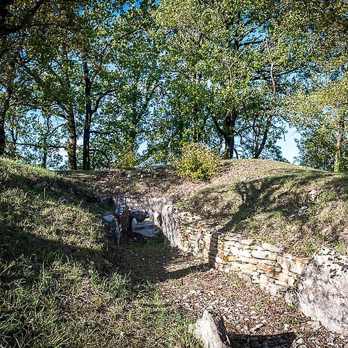 Photo de Motte de la Jacquille à Fontenille