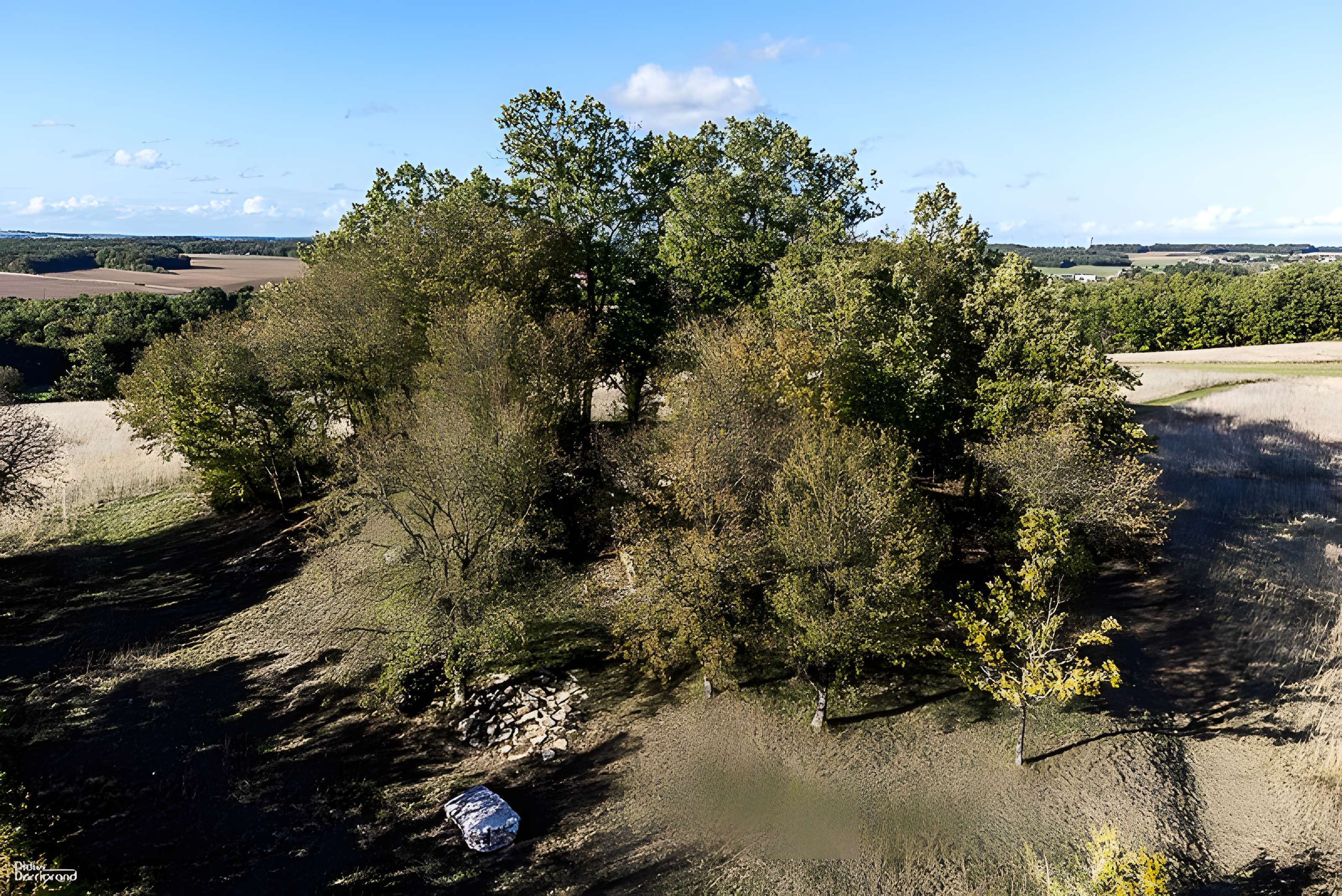 Motte de la Jacquille à Fontenille