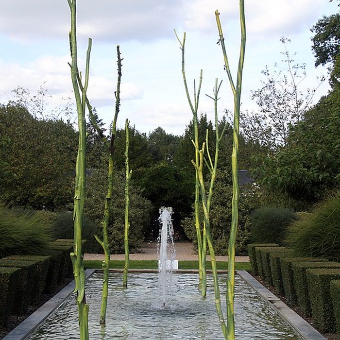 Photo de Château de Cheverny
