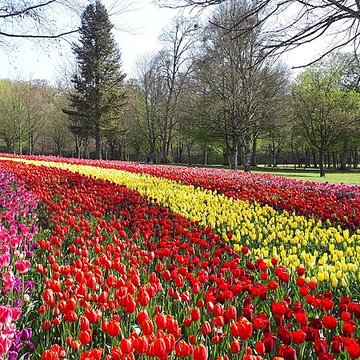 Château de Cheverny