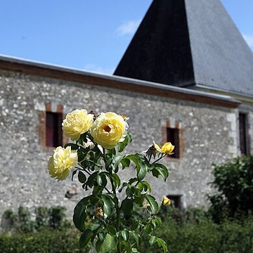 Château de Cheverny