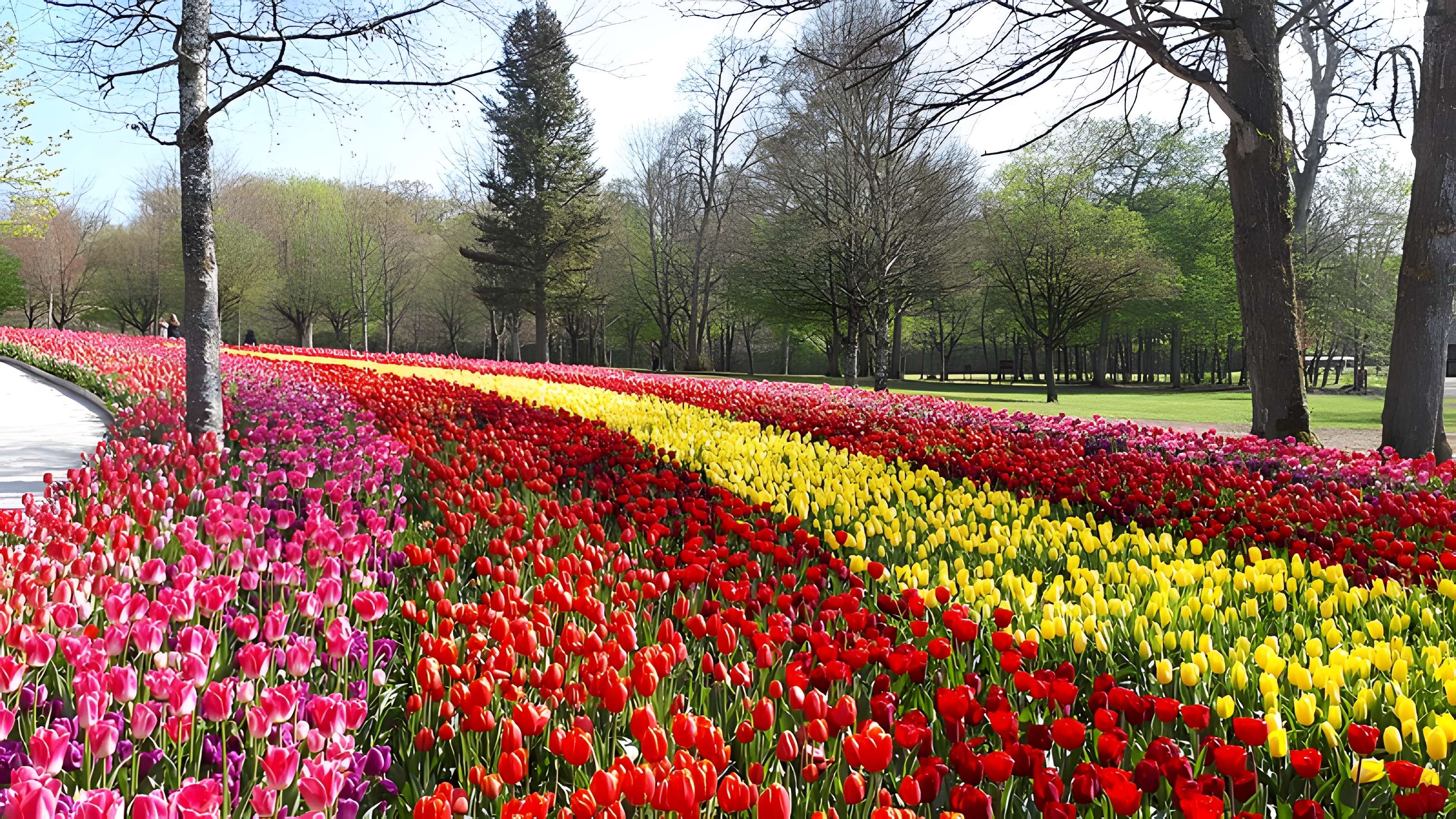 Château de Cheverny