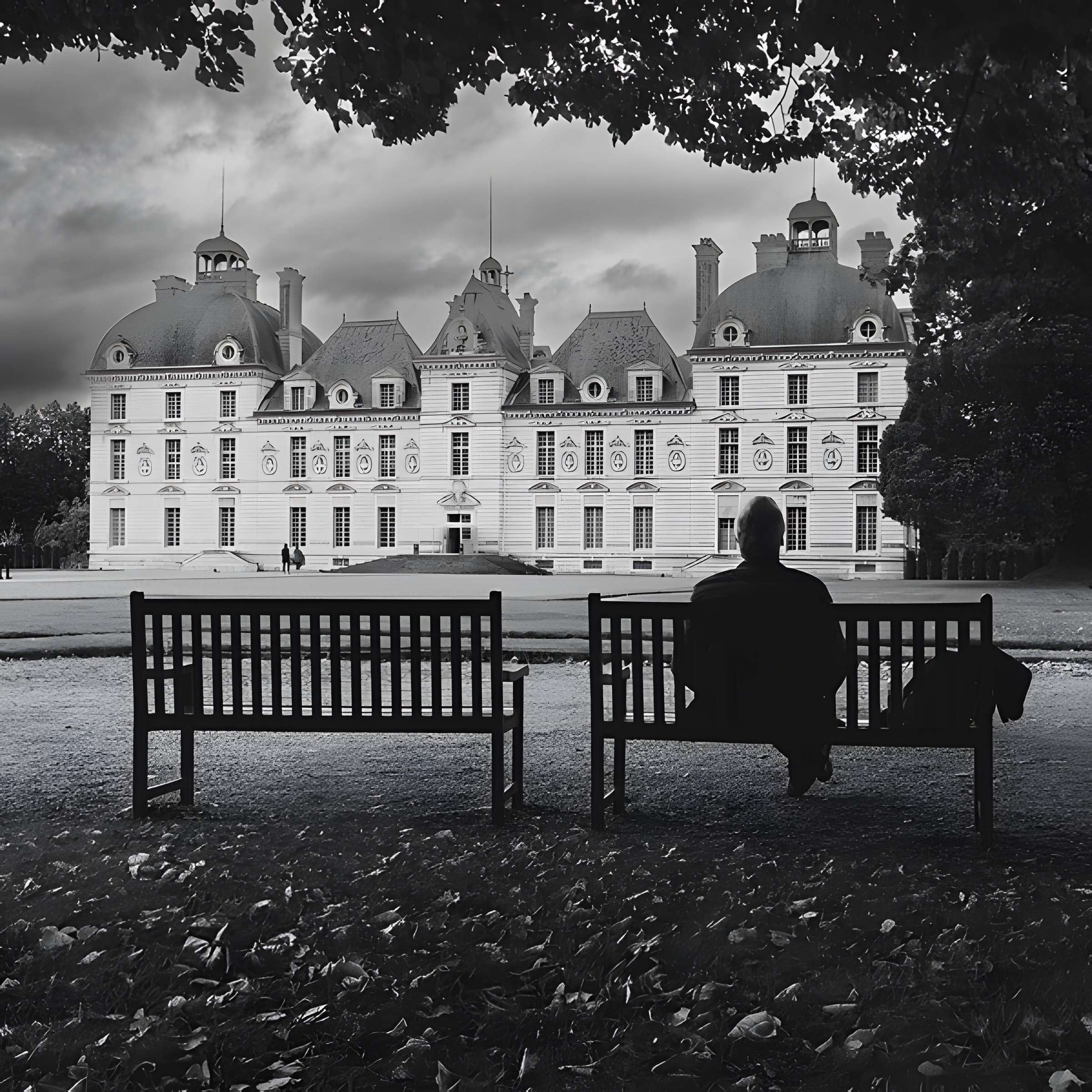 Château de Cheverny