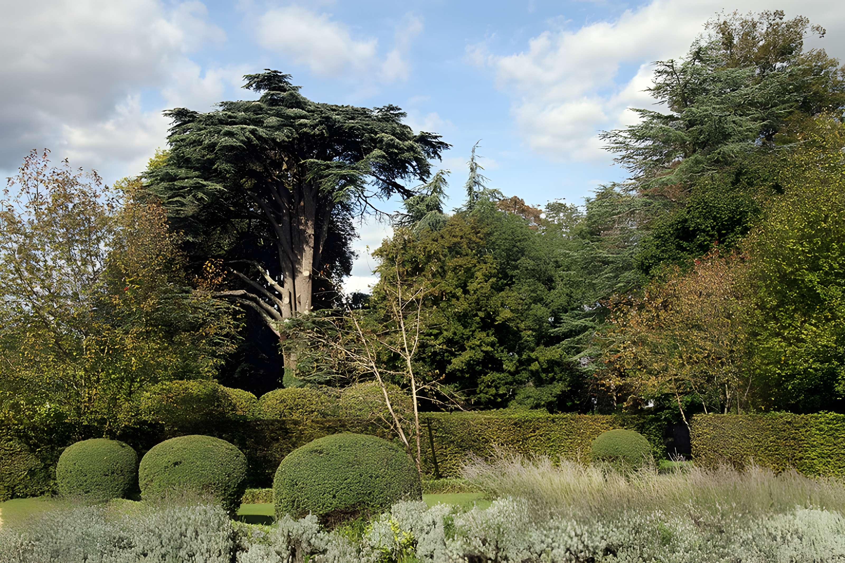 Château de Cheverny