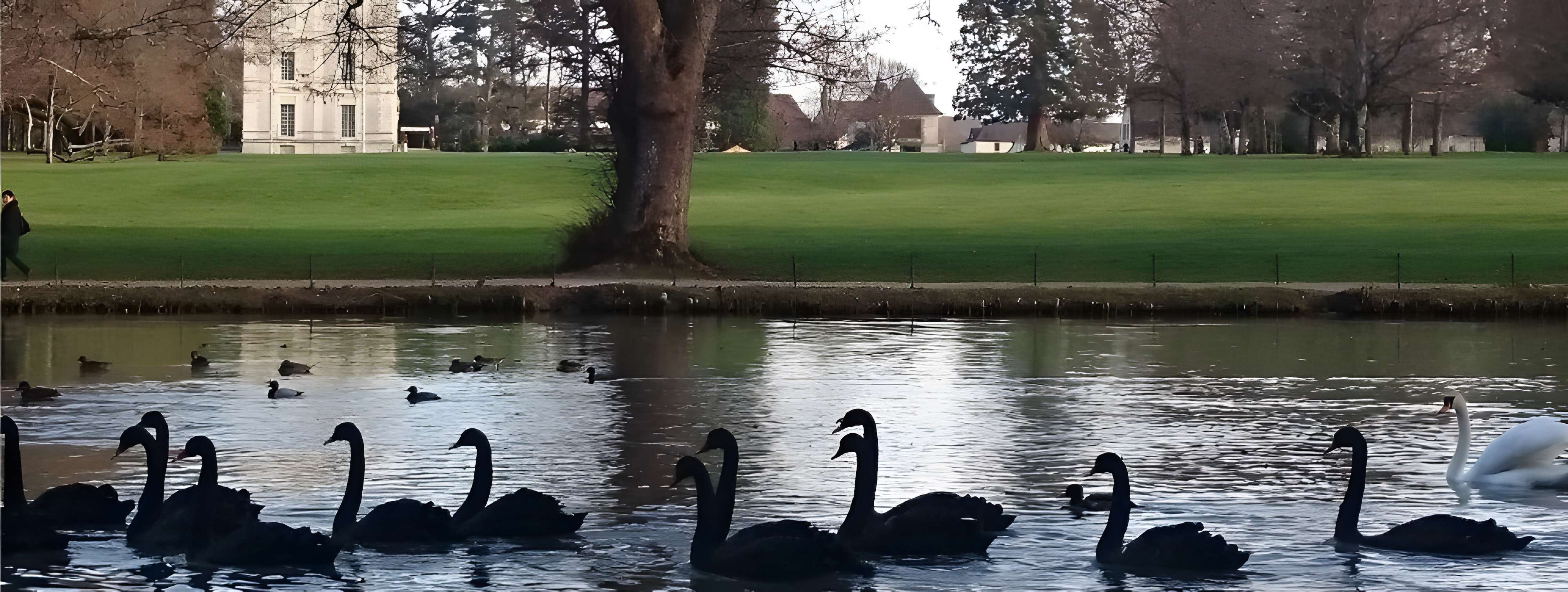 Château de Cheverny Château de Cheverny 
