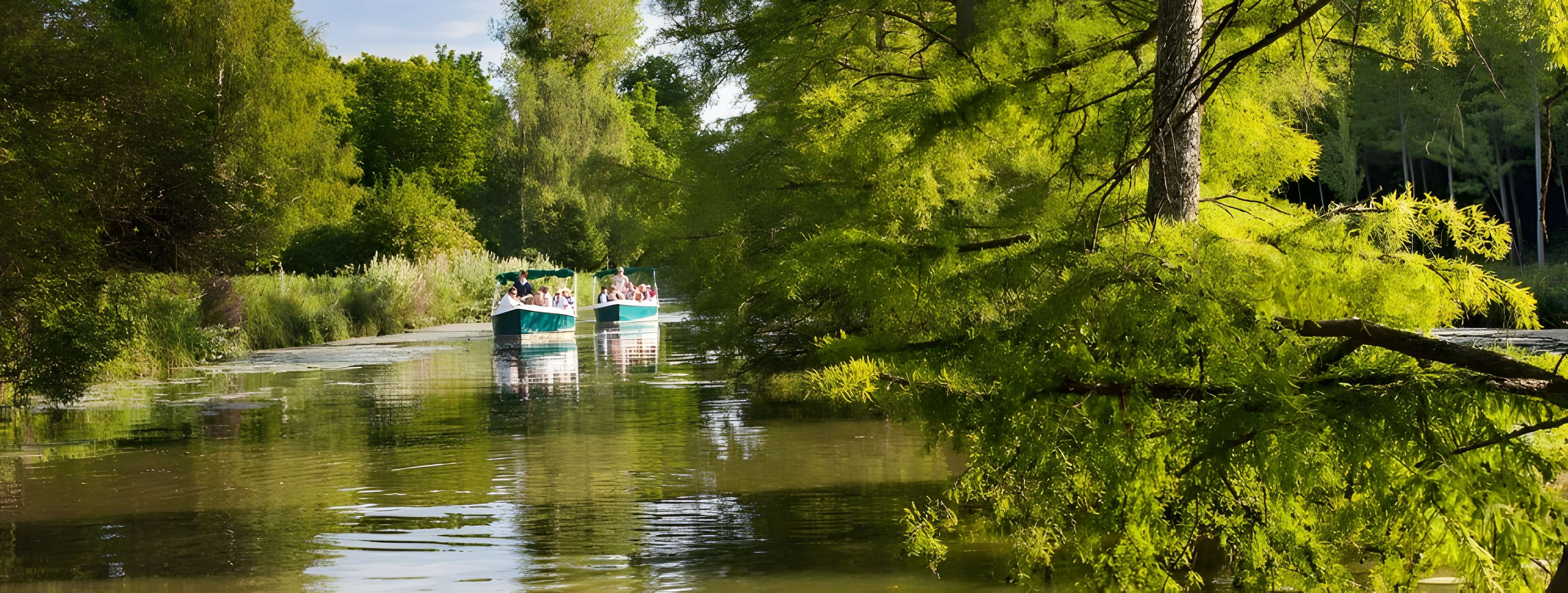 Château de Cheverny Château de Cheverny Château de Cheverny 