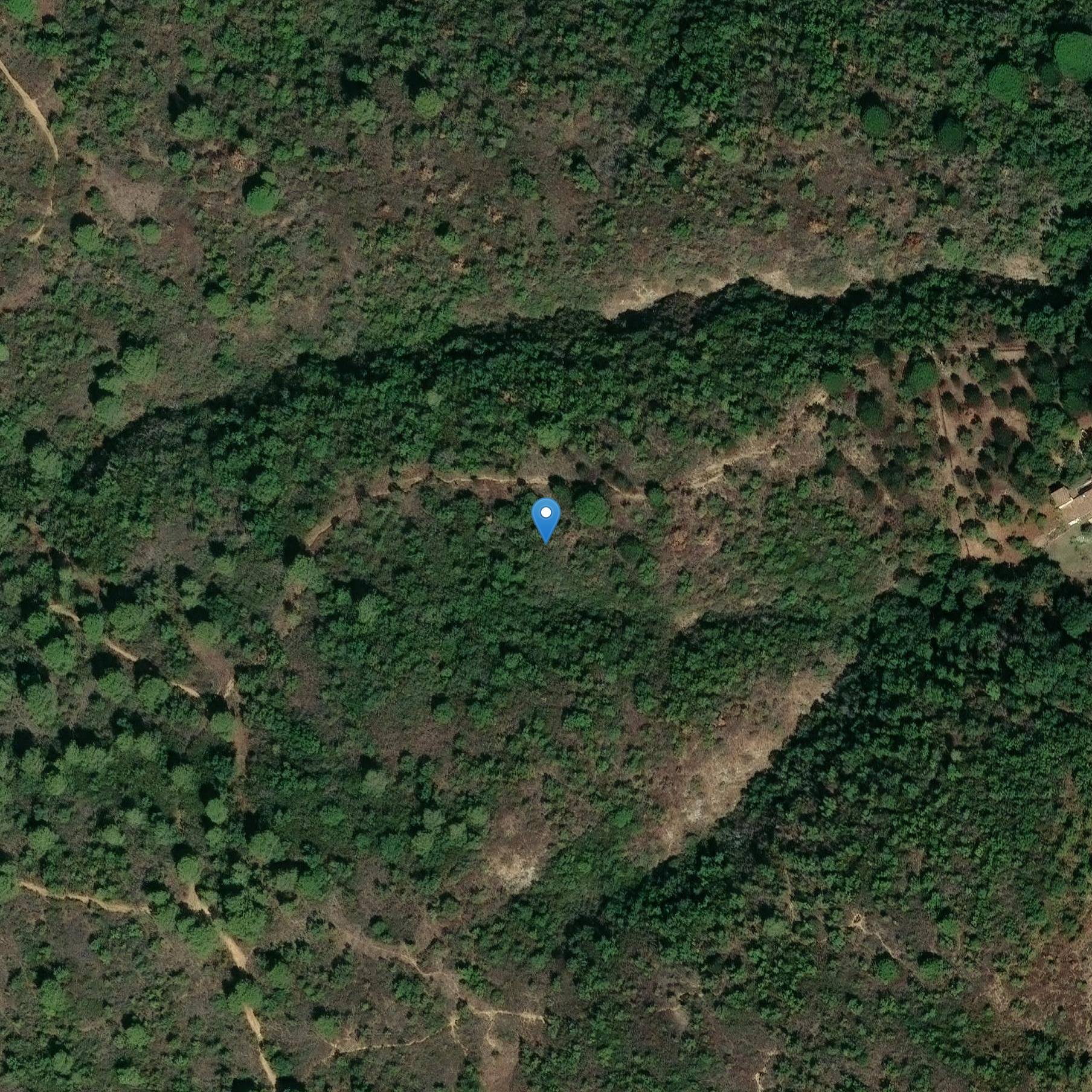 Photo de Reydissartの考古学的サイト