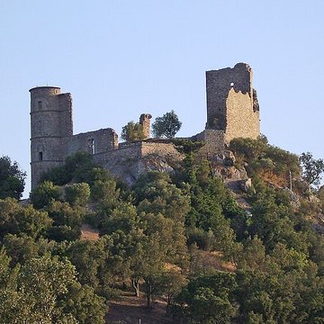 Vestiges du château