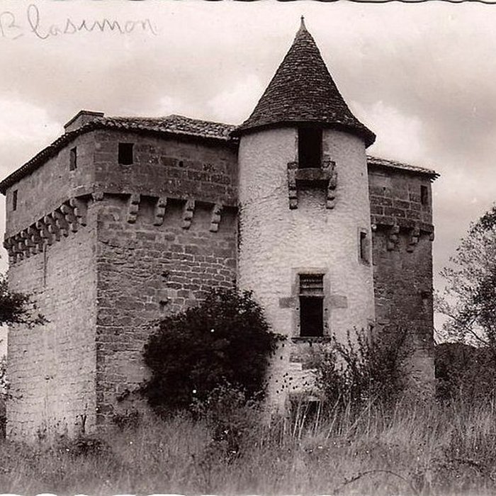 Photo de Moulin de Labarthe à Blasimon
