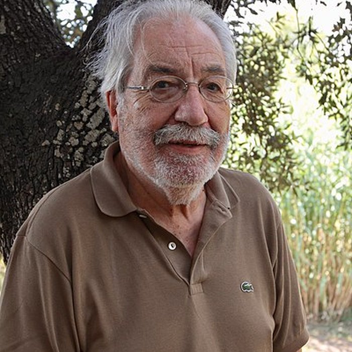 Photo de Cité gréco-romaine dOlbia-Pomponiana