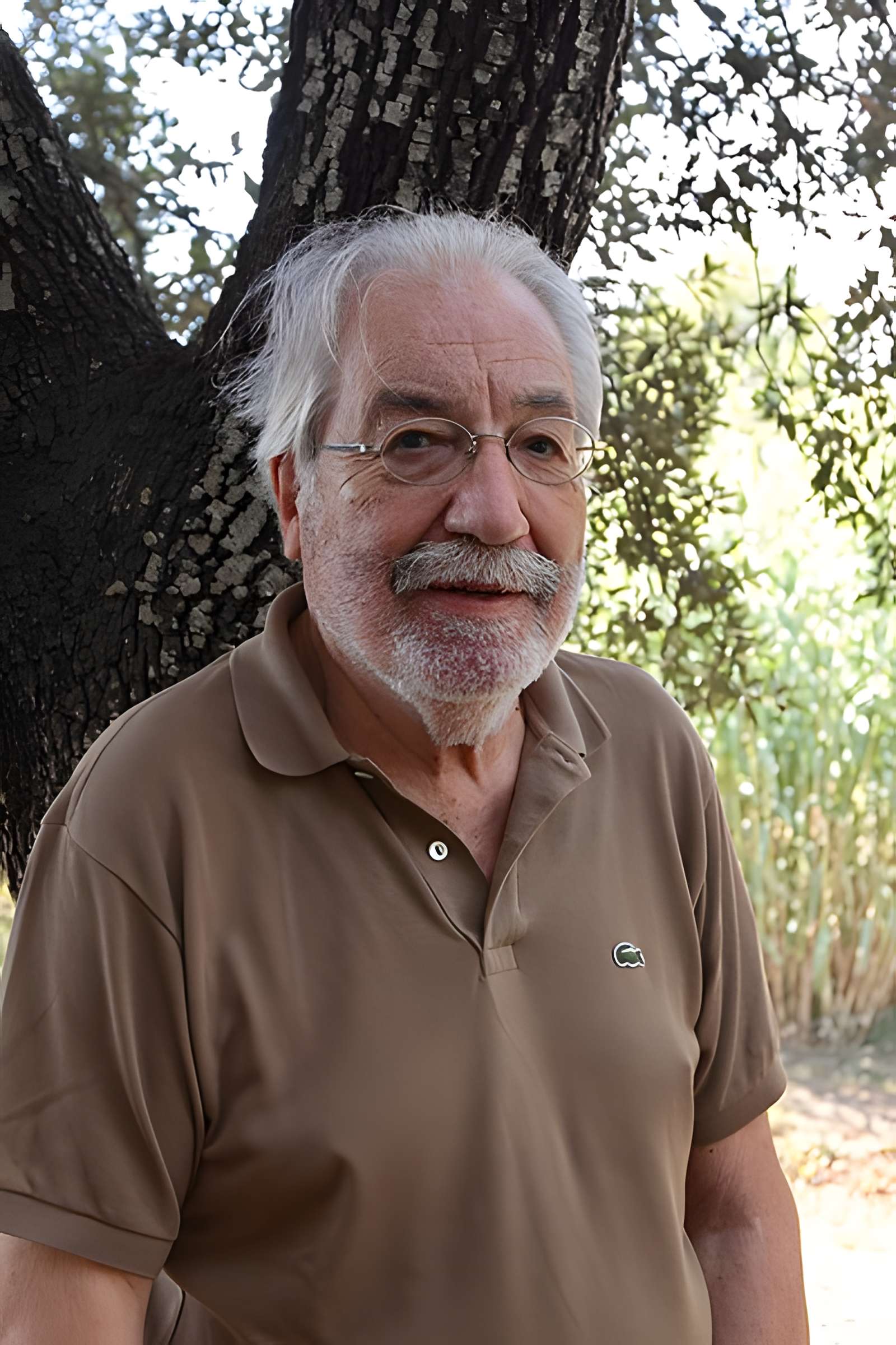 Cité gréco-romaine d'Olbia-Pomponiana