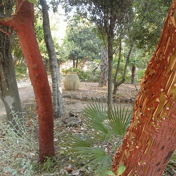 Photo de Propriété dite Le Plantier de Costebelle