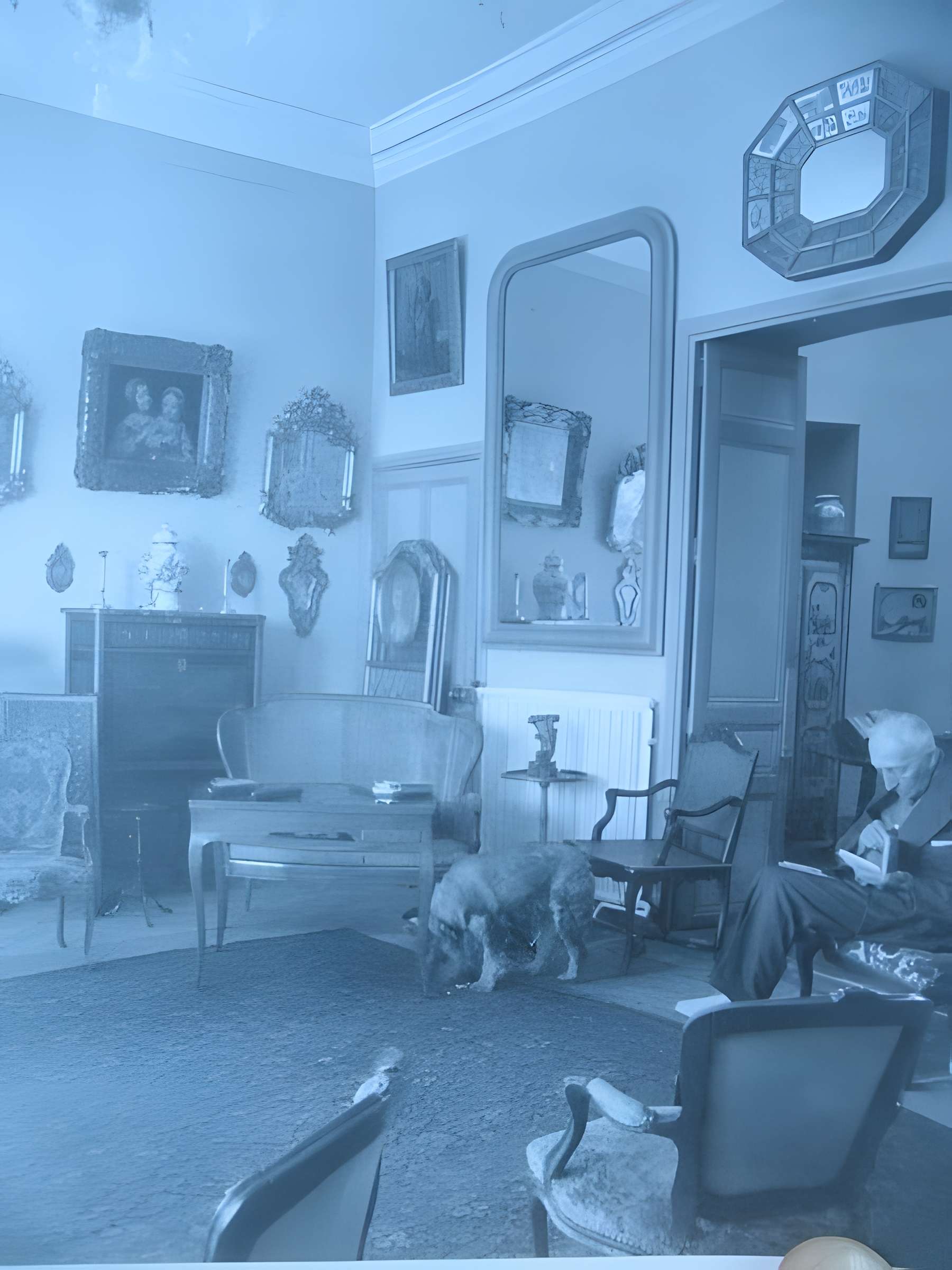 Propriété dite Le Plantier de Costebelle