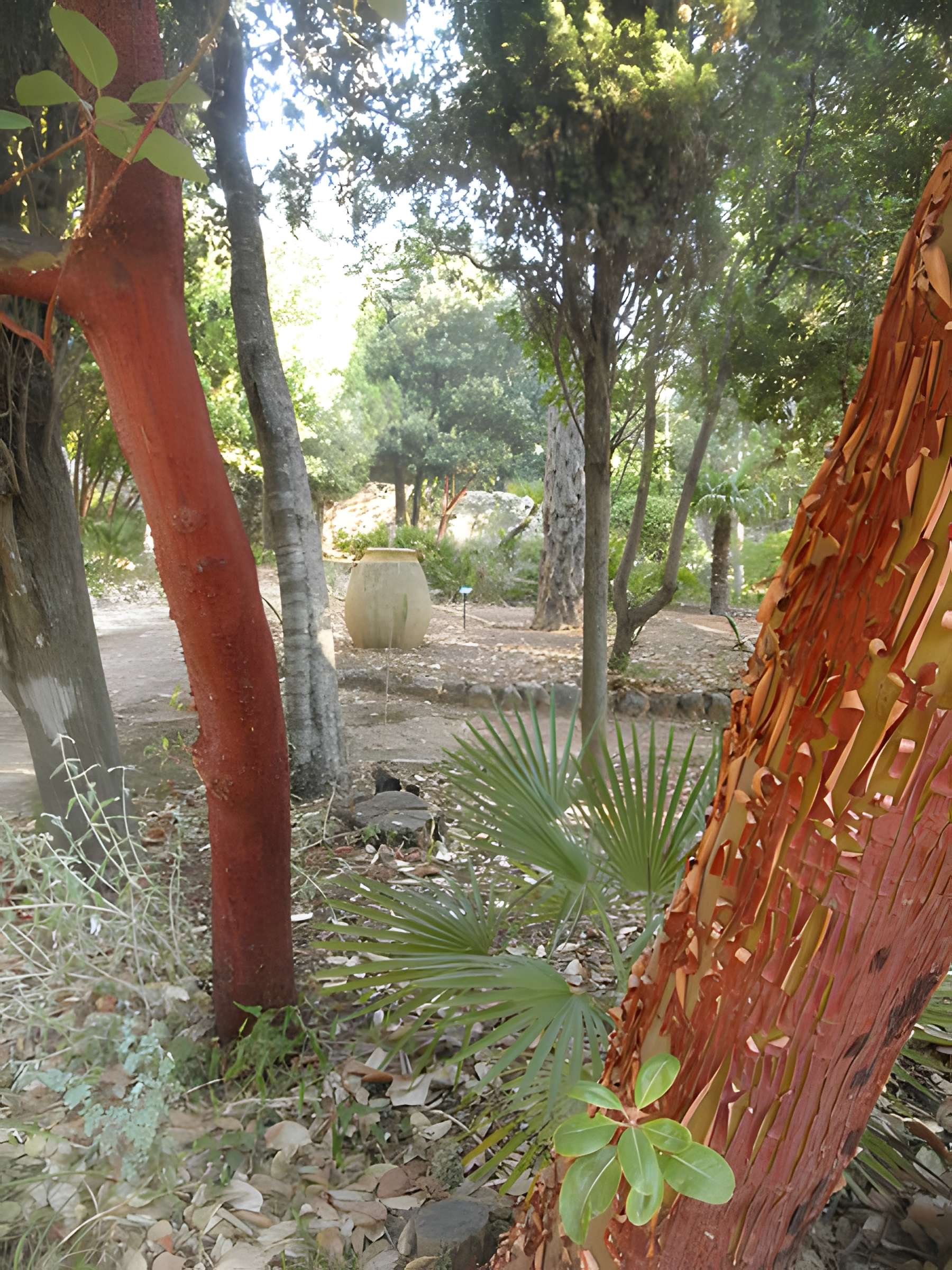 Propriété dite Le Plantier de Costebelle