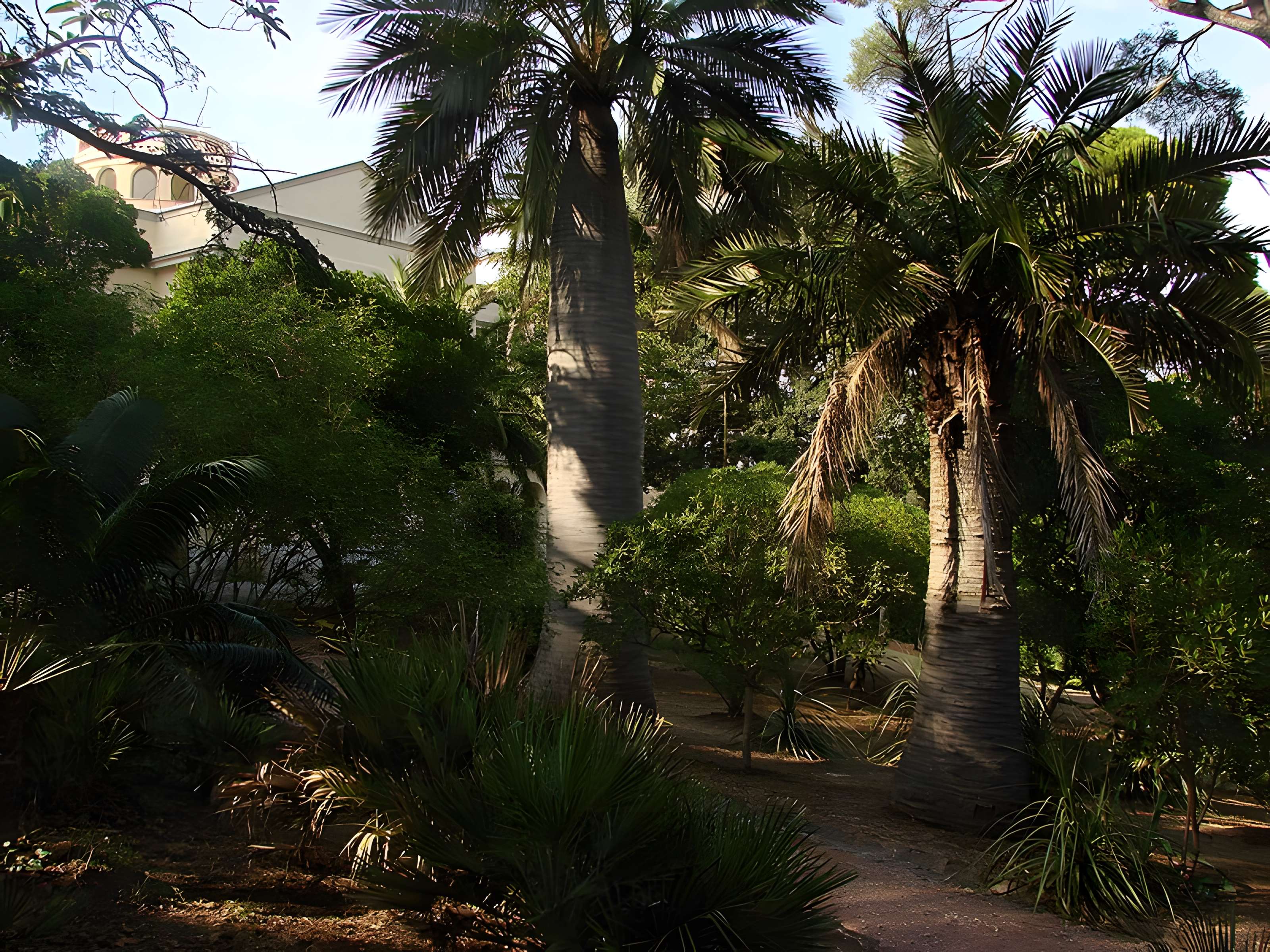 Propriété dite Le Plantier de Costebelle