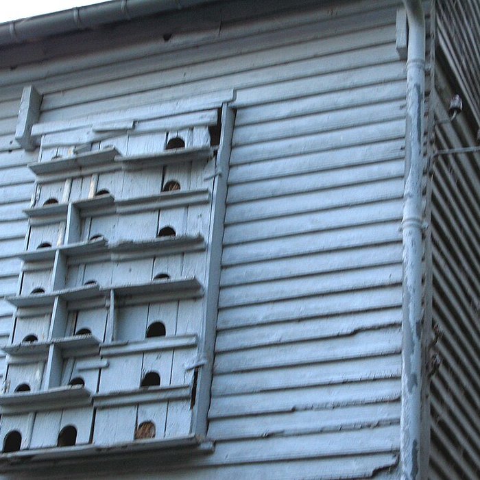 Photo de Moulin de Visse à Maisnières