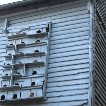 Moulin de Visse à Maisnières