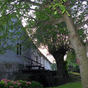 Moulin de Visse à Maisnières
