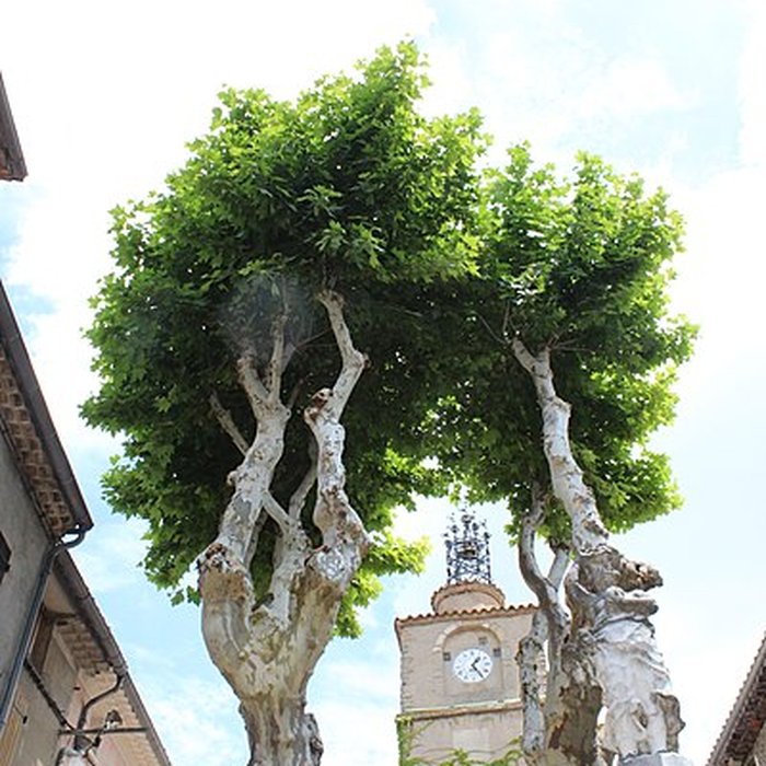 Photo de Tour de lHorloge