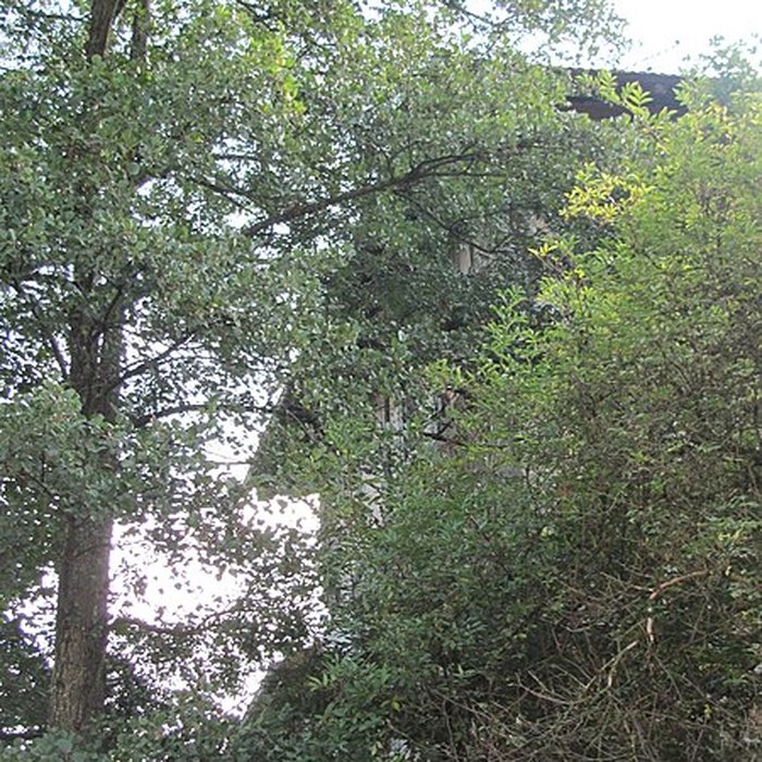 Photo de Moulin Girard à Montluel