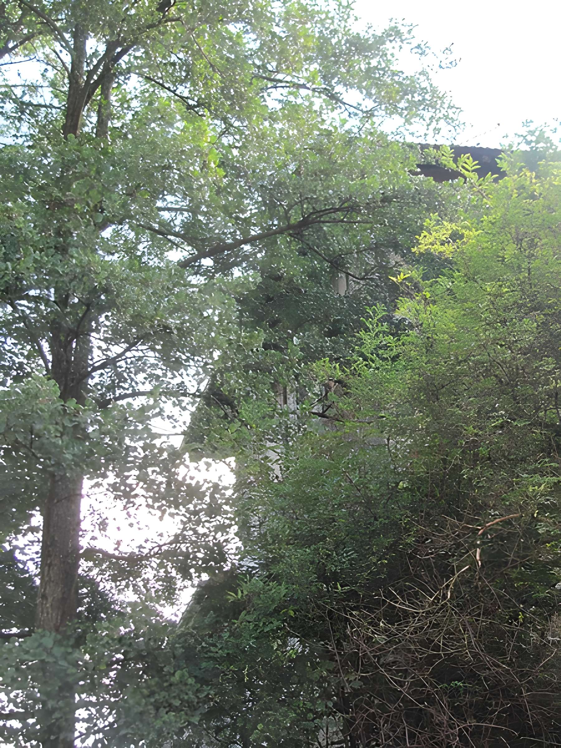 Moulin Girard à Montluel