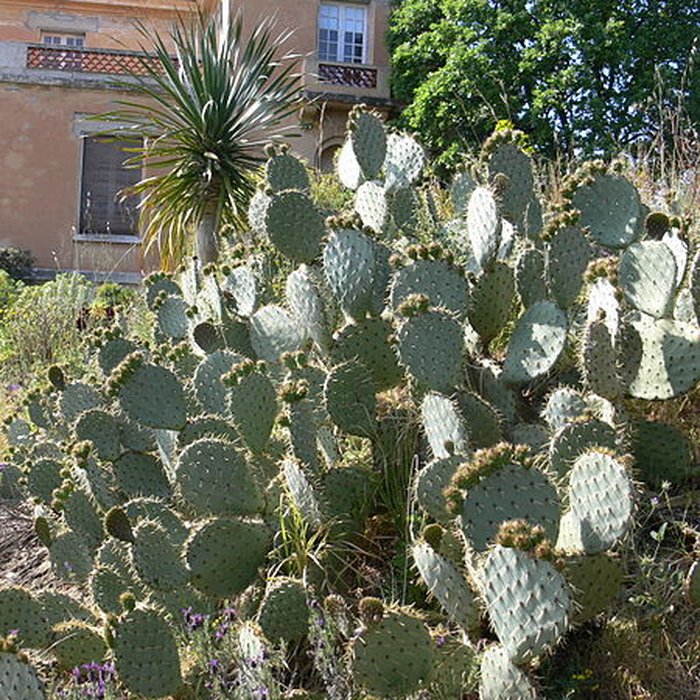 Photo de Domaine du Rayol