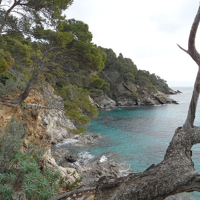 Photo de Domaine du Rayol