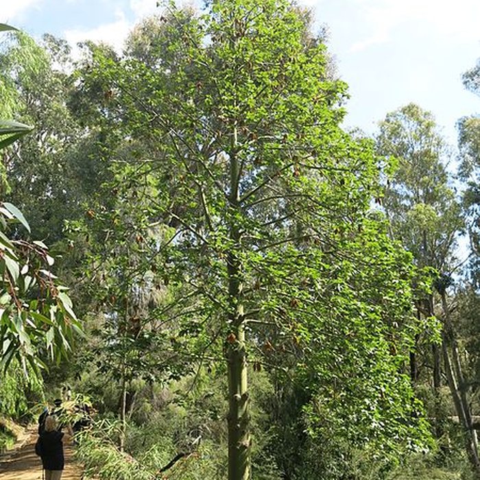 Photo de Domaine du Rayol