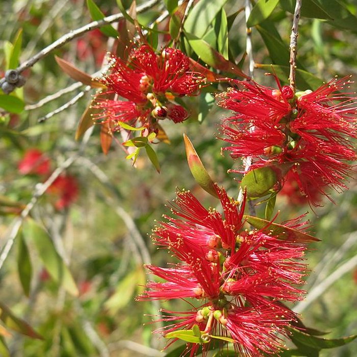 Photo de Domaine du Rayol