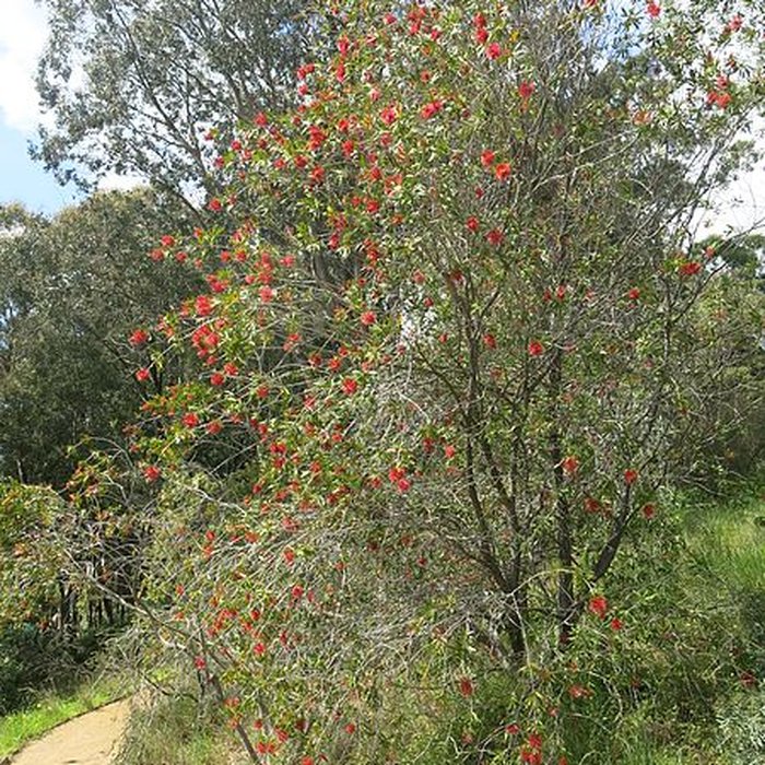 Photo de Domaine du Rayol