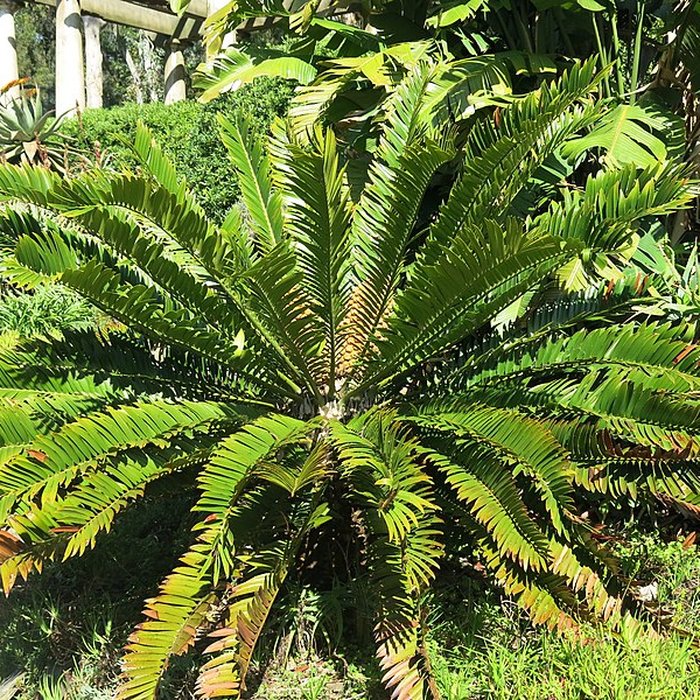 Photo de Domaine du Rayol