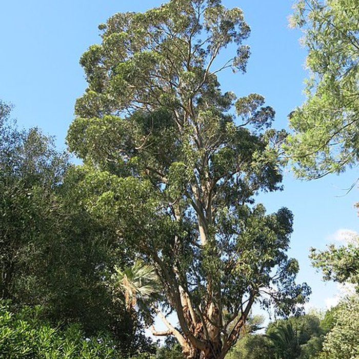 Photo de Domaine du Rayol