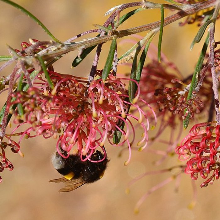 Photo de Domaine du Rayol
