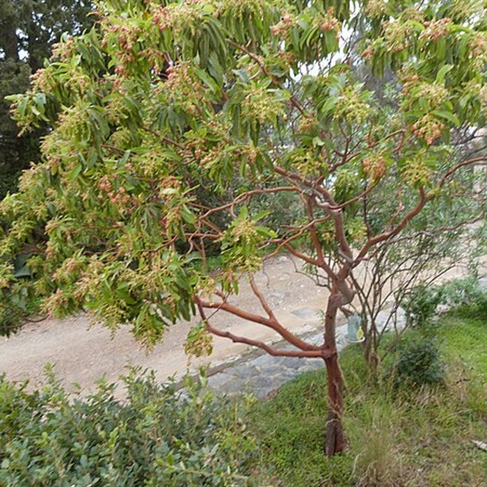 Photo de Domaine du Rayol