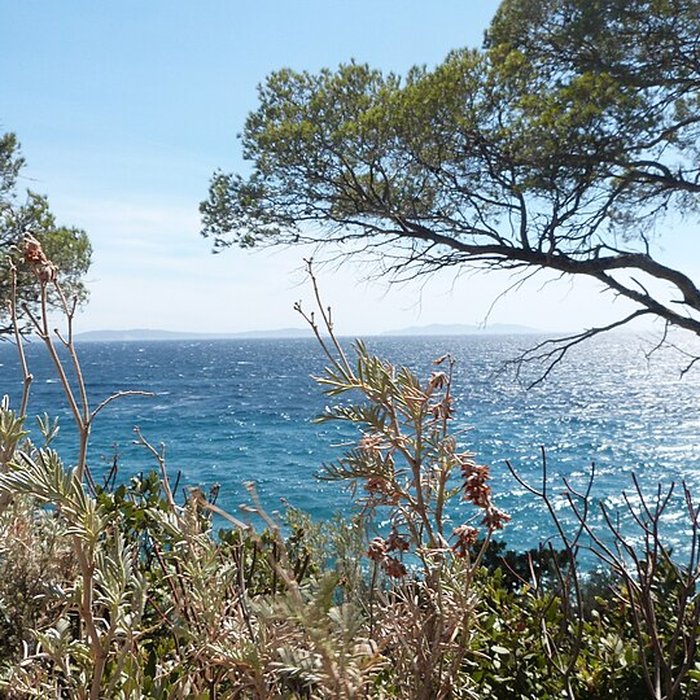 Photo de Domaine du Rayol