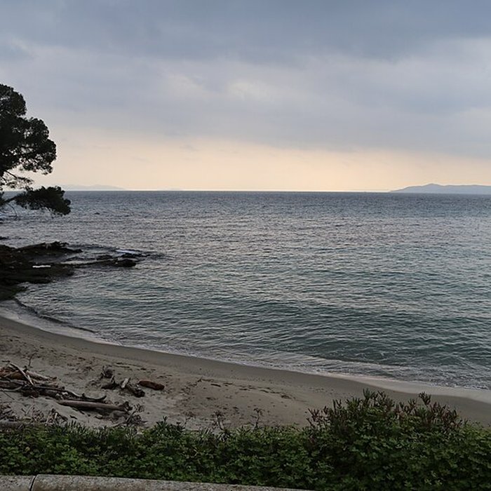 Photo de Domaine du Rayol