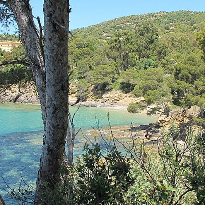 Photo de Domaine du Rayol