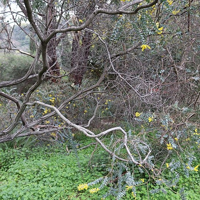 Photo de Domaine du Rayol