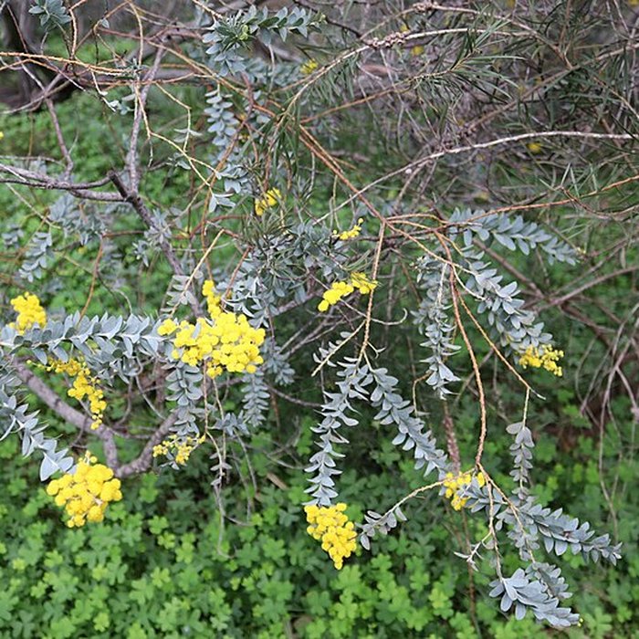 Photo de Domaine du Rayol