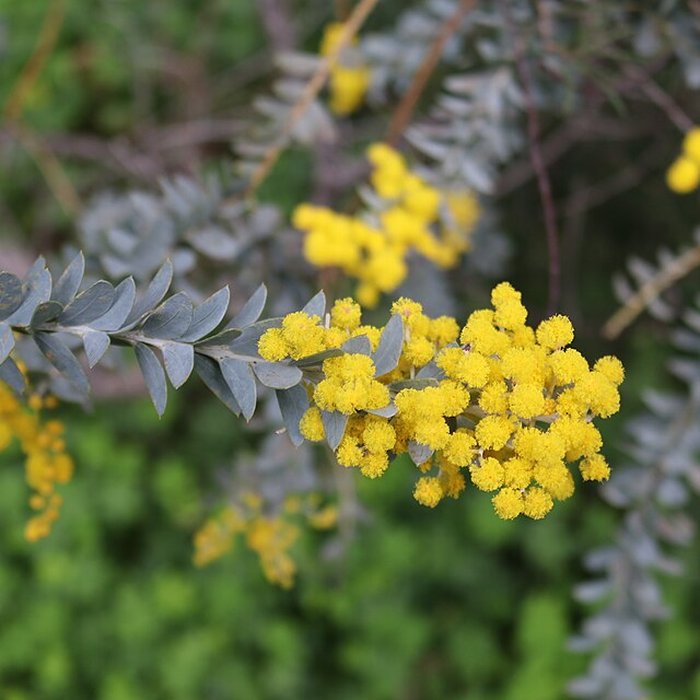 Photo de Domaine du Rayol